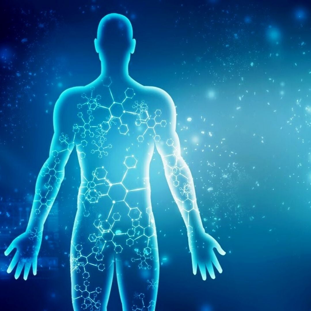 sistema-immunitario.jpg