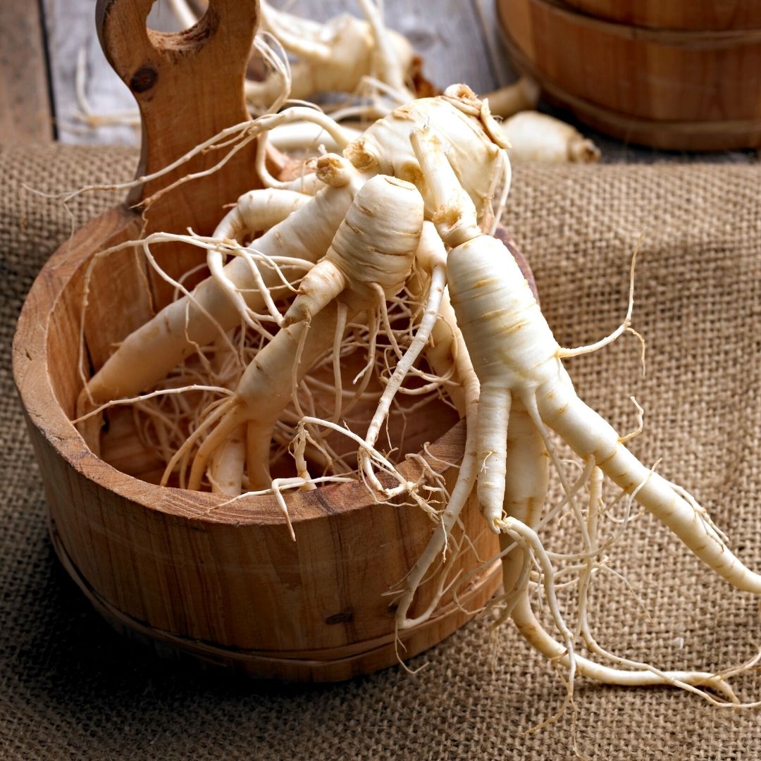ginseng-1.jpg